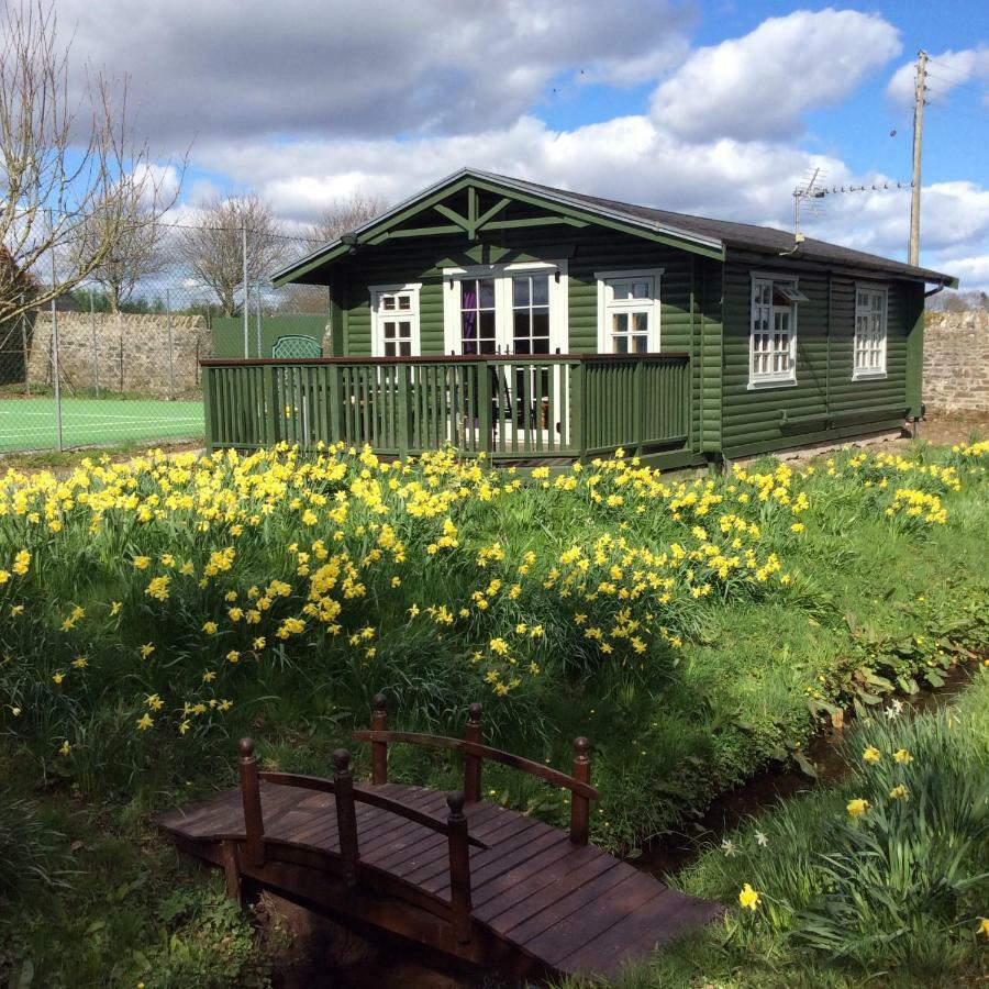 הוילה Doune Garden Studio For Two מראה חיצוני תמונה